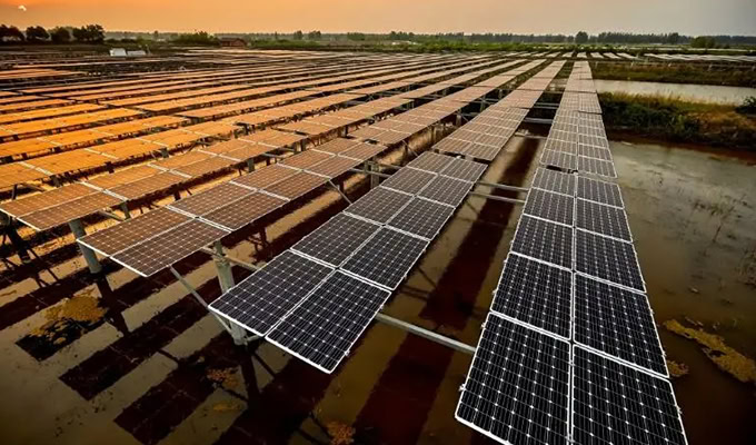 Solar panels in a large field under a sunset sky, reflecting the orange light.